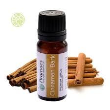 Cinnamon Oil