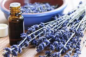 Fragrance Compound Lavender Oil