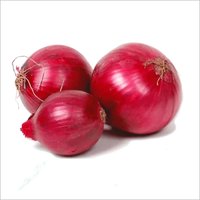 Fresh Onion - Red Round Unpeeled | Rich In Vitamin C, Enhances Flavor, Non-toxic Fertilizer, Immune Booster, Heart Healthy, Quercetin Compound