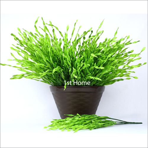 Decorative Green Bush