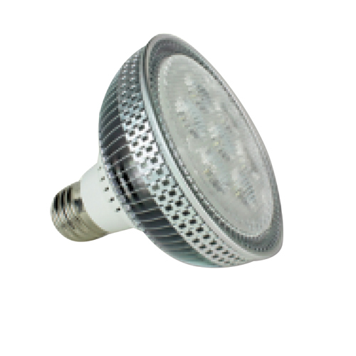 PAR30 12W LED Spot Lamp