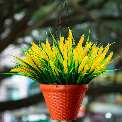 Yellow Flower Plant