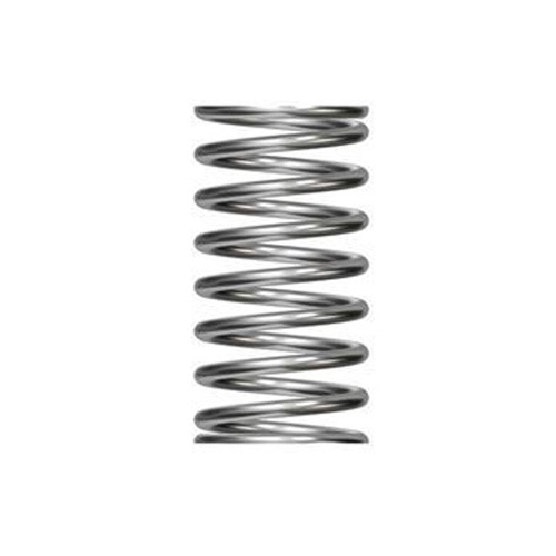 Oil Pump Spring