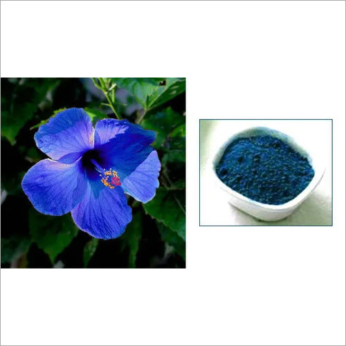 Powder Natural Blue Food Flavour