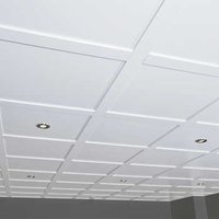 Suspended Ceiling System