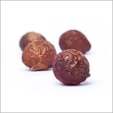 Indian Dry Soapnut