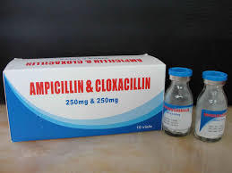 Ampicillin & Cloxacillin Injection