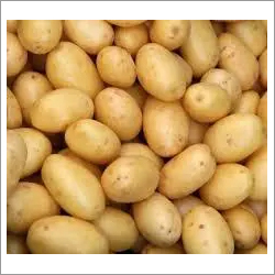 Potato