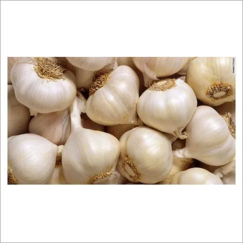 White Garlic