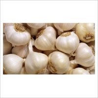 Garlic - Organic Frozen Vegetable, White Color with Normal Taste