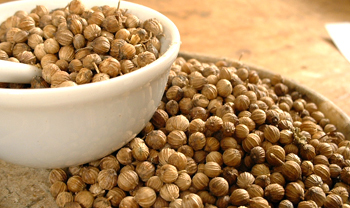 Coriander Seeds