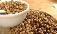 Coriander Seeds