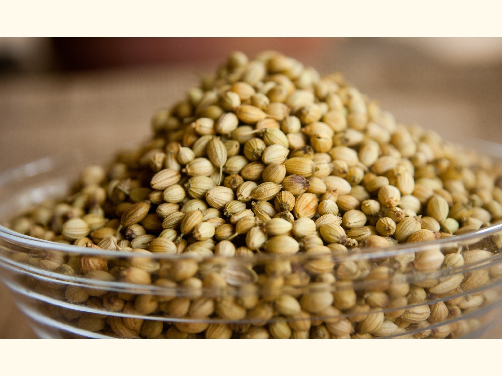 Coriander Seeds