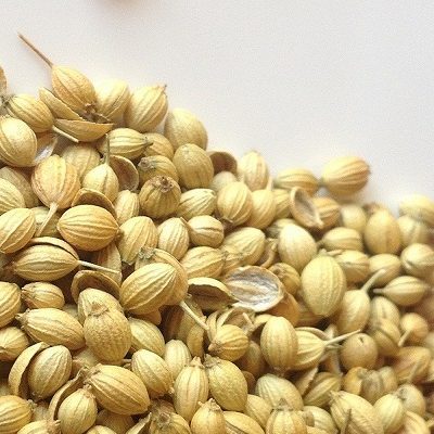 Coriander Seeds