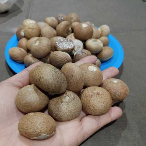 Brown Whole Betel Nut