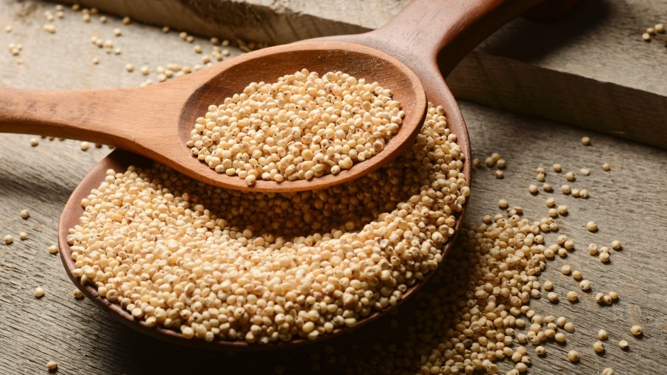 Sorghum Seeds
