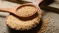 Sorghum Seeds