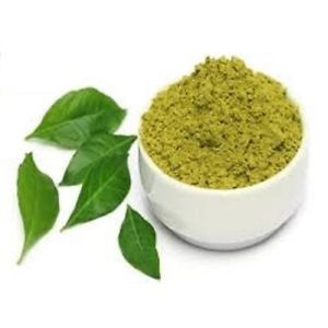 Adhatoda Vasica - Herbal Extract for All Age Groups | Ayurvedic Medicinal Herb for Ailment Relief