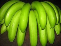 Fresh Cavendish Banana