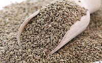 Ajwain Seeds Powder