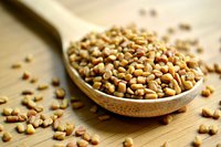 Pure Fenugreek Seeds