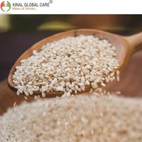 Sesame Seeds