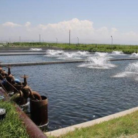 RO Mineral Water Plant