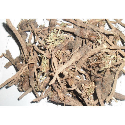 Anacyclus Pyrethrum Ingredients: Herbal Extract