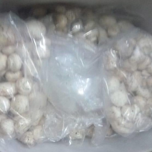 White Button Mushroom