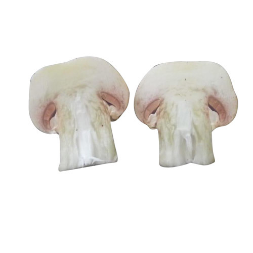 White Frozen Mushroom