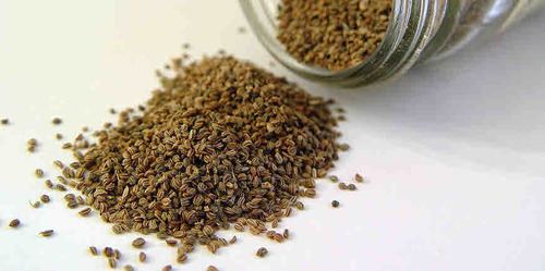 APIUM GRAVELENS