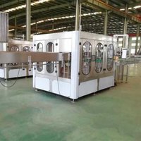Rinsing Filling Capping Machine
