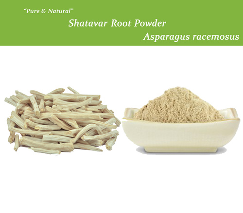 Asparagus Racemosus Ingredients: Herbal Extract