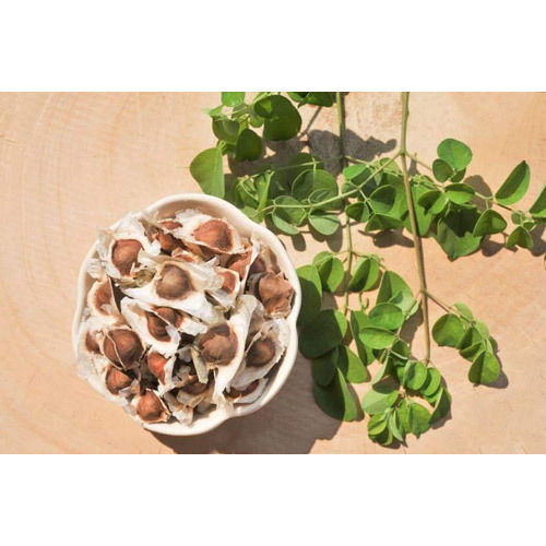 Moringa Seed