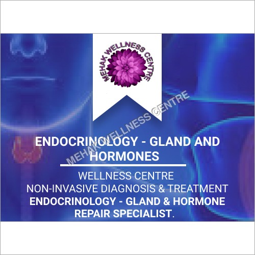 Endocrinology Gland And Hormones Treatment