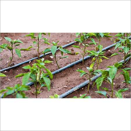 Drip Irrigation Tube