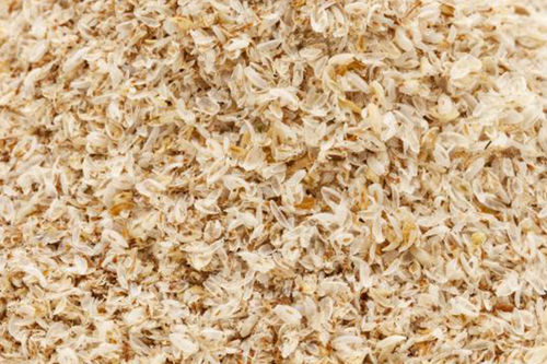 Psyllium Husk Seeds