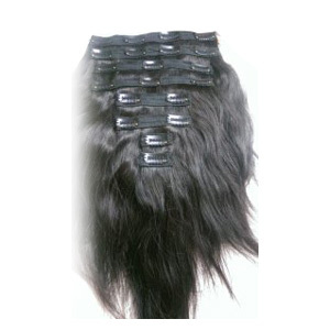 Clip Hair Extension