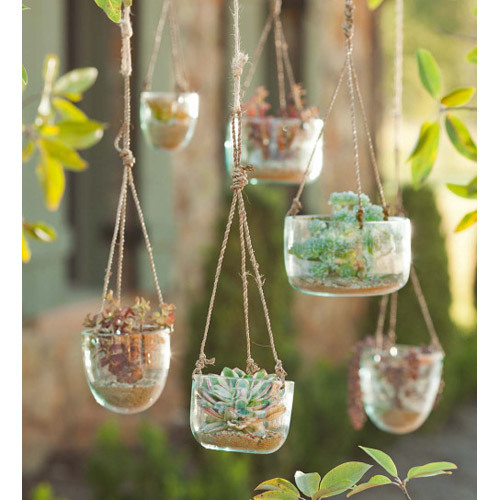 Transparent Hanging Vases