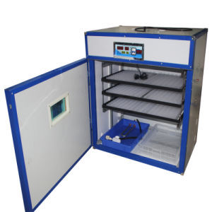 Egg Hatch Incubators