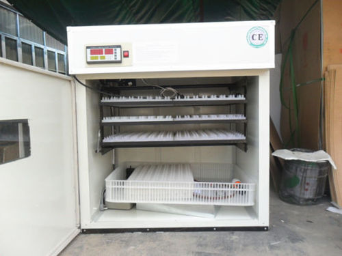 Chicken Egg Hatchery