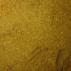 Fennel Powder