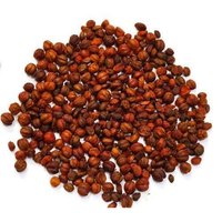 Celastrus Paniculatus Ingredients: Herbal Extract