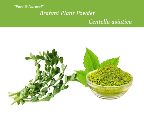 Centella Asiatica Ingredients: Herbal Extract