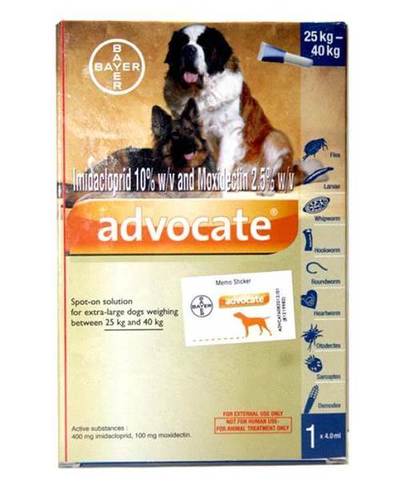 ADVOCATE 25