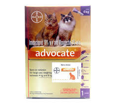 ADVOCATE CAT 0.8ml
