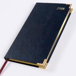 Doctor Diary