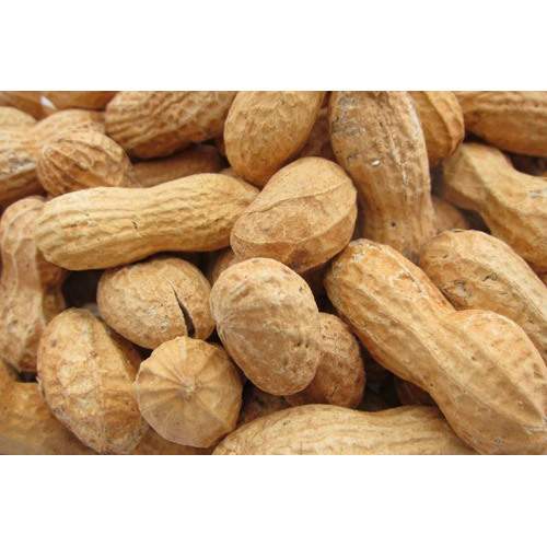 Raw Groundnuts