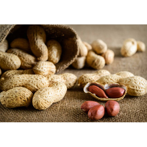 Groundnuts