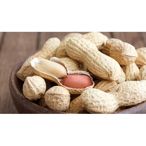 Raw Groundnut Peanuts